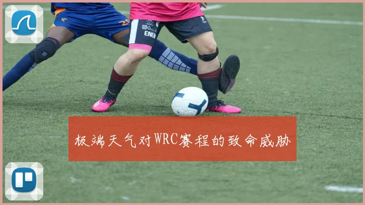 极端天气对WRC赛程的致命威胁