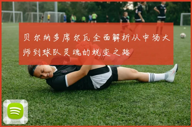 贝尔纳多席尔瓦全面解析从中场大师到球队灵魂的蜕变之路